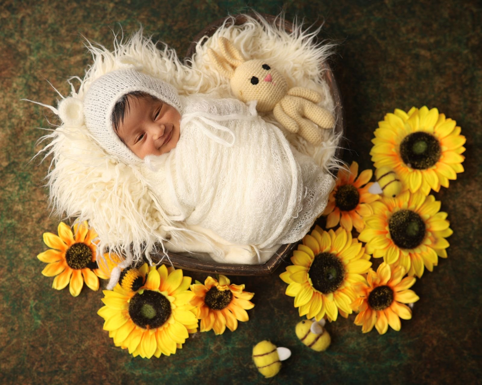 Newborn on a sunflower setup