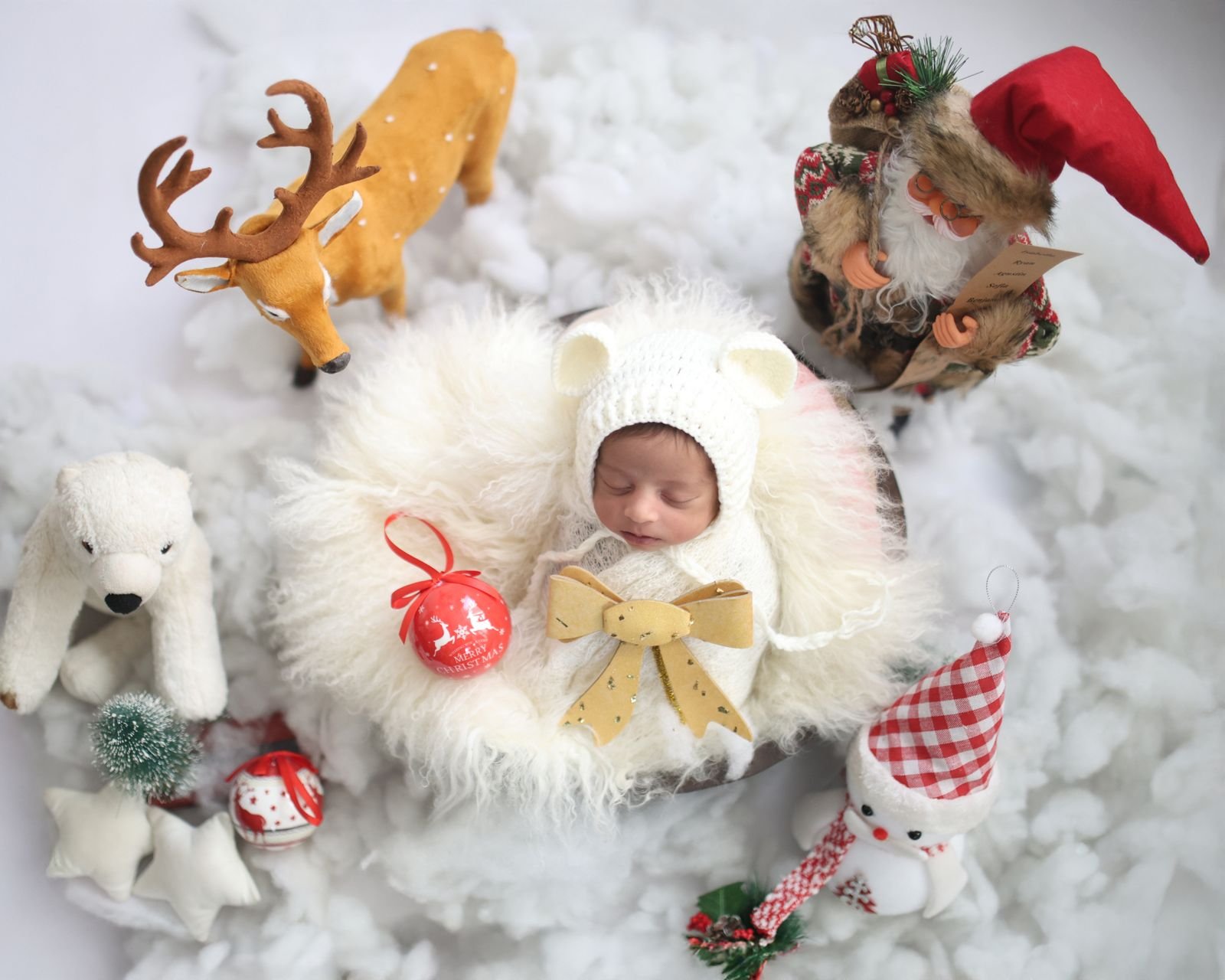 Newborn in a winter themed setup